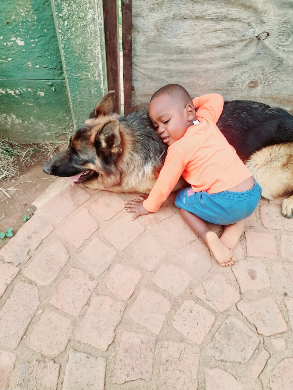 Puppy Zone